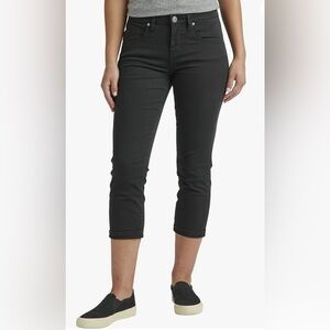 -313 NWT JAG Women's Cecilia Mid Rise Capri - Size 2 Petite